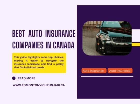 Best Auto Insurance Companies in Canada: Top Picks for 2024